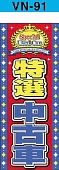 1vn091
